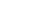 Fractals Network